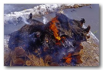 Likbränning vid Pashuputinah